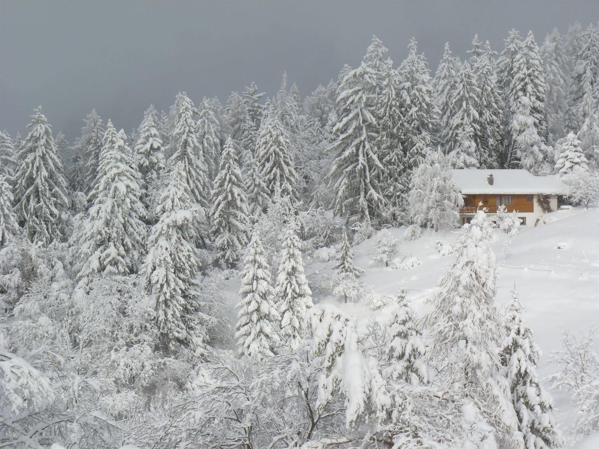 Bed and Breakfast Chalet Des Alpes Кран-Монтана Экстерьер фото